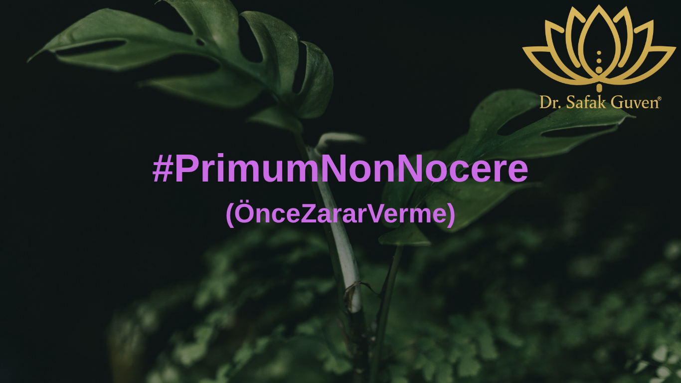 PrimumNonNocere
