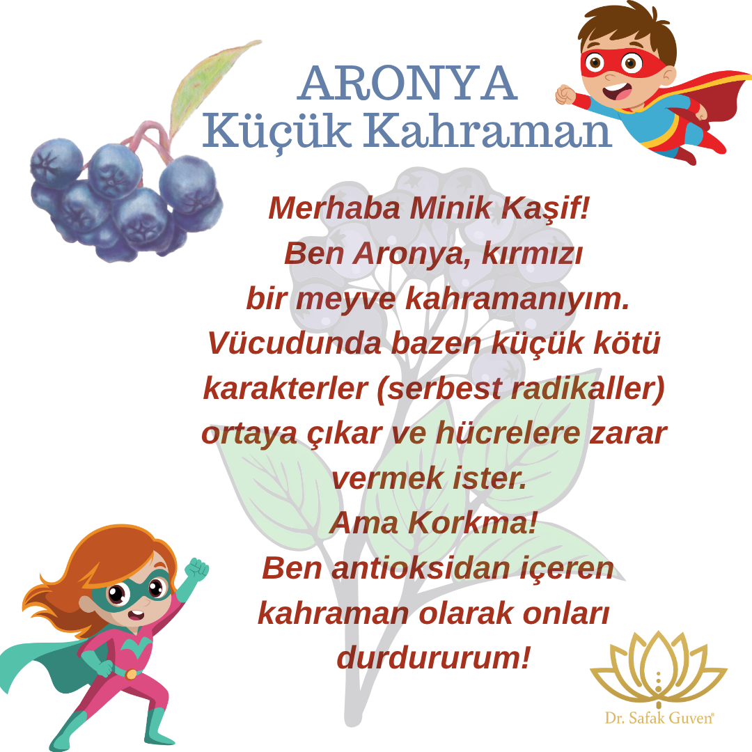 Minik Kaşifler Serisi | Aronya