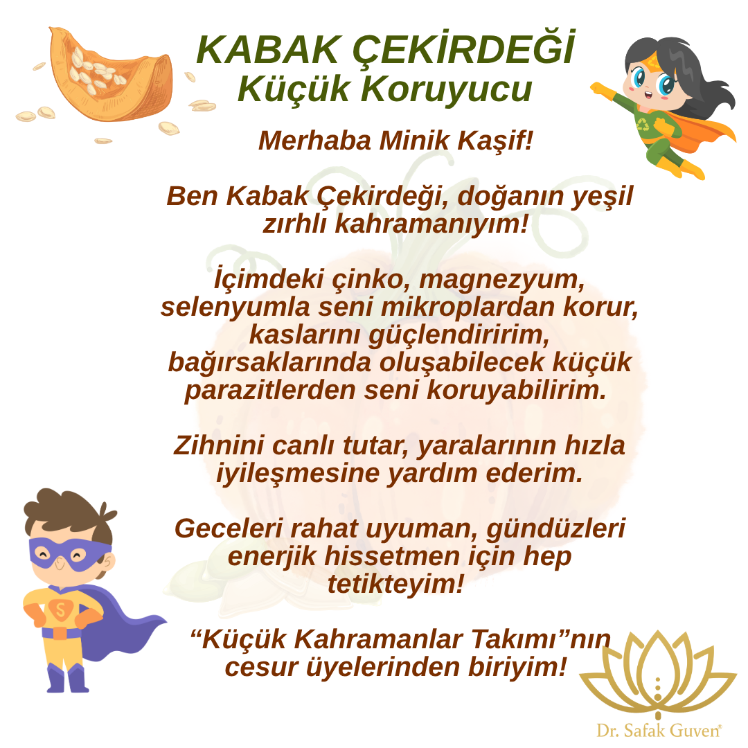 Minik Kaşifler Serisi | Kabak Çekirdeği