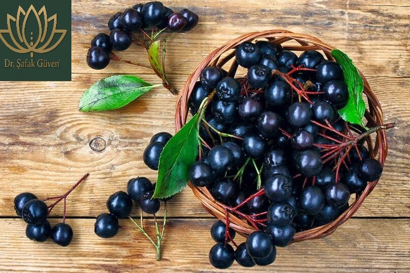 🌿 ARONYA ÖZÜNÜN FAYDALARI NELERDİR?