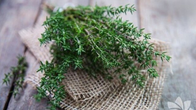 Diş Eti Çekilmesine Karşı;