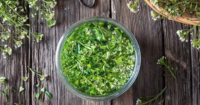 Hemoroid Şikayetine Karşı;