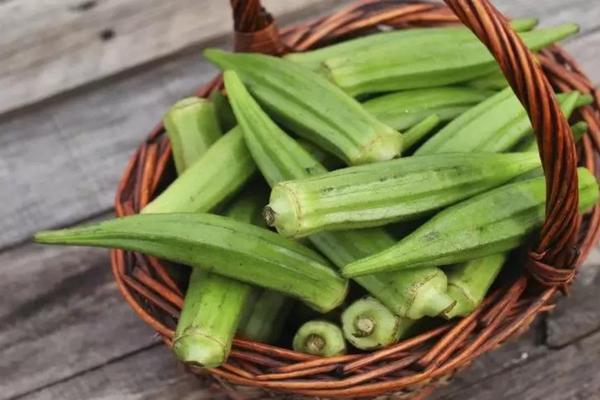 Kan Şekerini Düşürmek İçin; Bamya Kürü